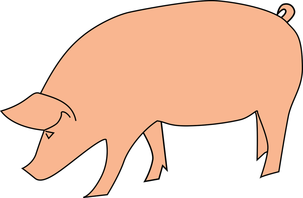 bavi livestock, oink, pig, piggy, swine, pig, pig, pig, pig, pig, swine-1295501.jpg