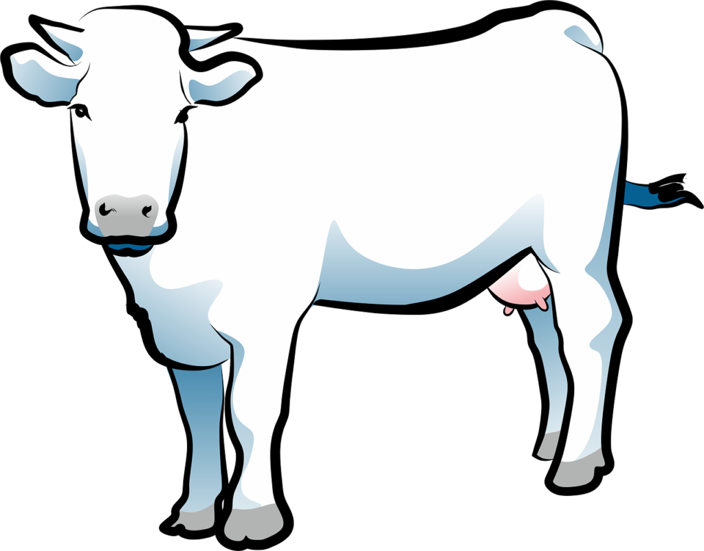 cow, animal, cattle, animals, nature, farm animals, cow, cow, cow, cow, cow-1472655.jpg
